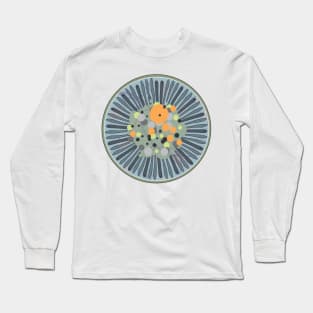 Diatom - Lindavia comensis (artwork) Long Sleeve T-Shirt